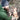 Petromax wool hat (lined) Petromax