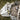 Reflector Oven Petromax