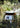 Petromax Atago Camping Stove Petromax