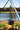 Trammel Hook Petromax