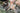 Petromax Fire Plunger Petromax